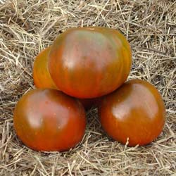 'Black Krim' Tomato